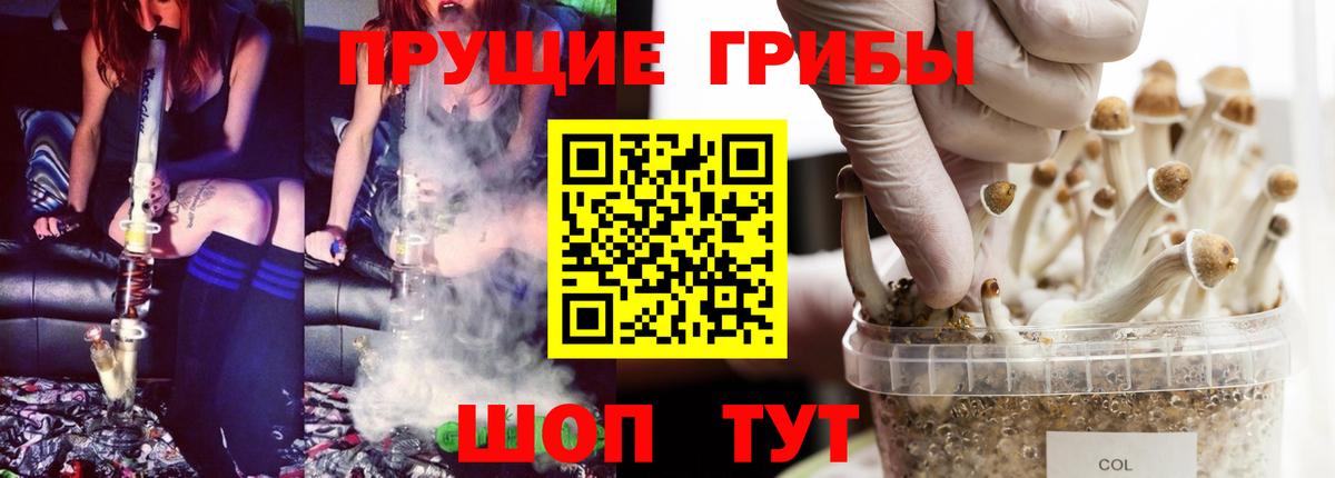 Псилоцибиновые грибы Psilocybe Касимов